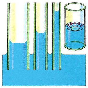 Capillary action diagram