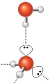 Molecular solid structure