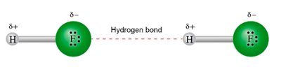 Hydrogen bond in HF