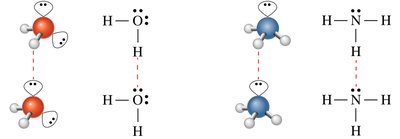 Hydrogen bonding in H2O and NH3