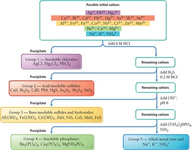Qualitative Analysis Scheme