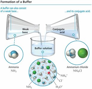 Concentrated vs. Dilute Buffer