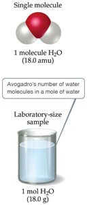 Mole concept with water molecules