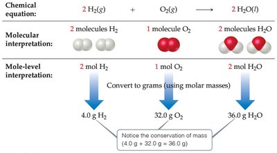 Mole-level interpretation of a balanced equation