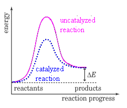 Energy diagram showing catalyzed and uncatalyzed reactions