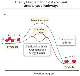 Energy diagram for catalyzed and uncatalyzed pathways