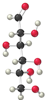 Glucose ball-and-stick model