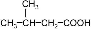 Structure of propanoic acid