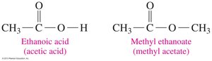 Comparison of carboxylic acid and ester structures
