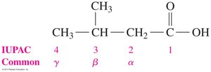 Numbering of carbons in carboxylic acids using IUPAC and common names