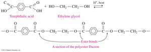 Polyester formation from terephthalic acid and ethylene glycol
