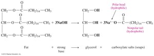 Saponification reaction producing soap