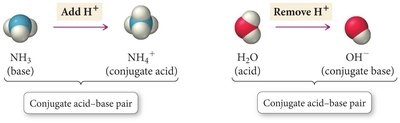 Conjugate acid-base pairs