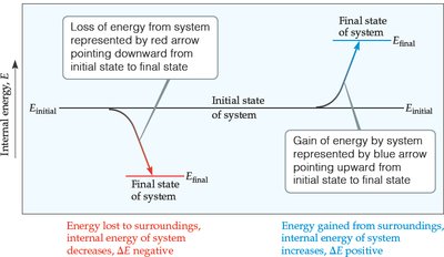 Diagram showing energy gain and loss