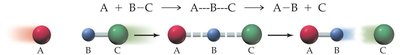 Molecular collision and reaction mechanism