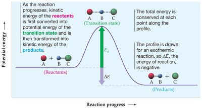 Energy profile showing activation energy and transition state