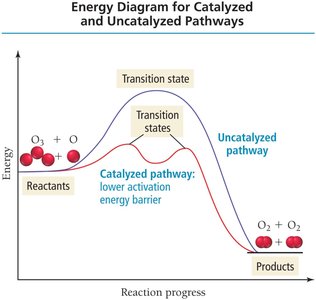 Homogeneous and heterogeneous catalysis