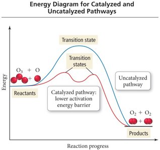 Energy diagram for catalyzed and uncatalyzed pathways