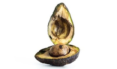 Brown avocado illustrating slow reaction towards equilibrium