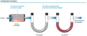 Combustion analysis apparatus