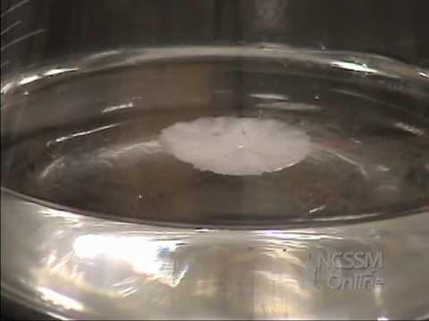 Seed crystal in supersaturated solution