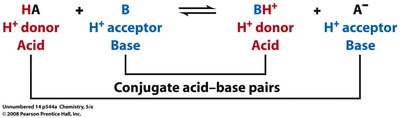 Brønsted–Lowry conjugate acid–base pairs diagram