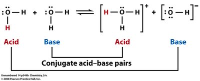Concentration of H3O+ and OH- in acidic, neutral, and basic solutions
