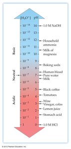 Color changes of common acid–base indicators across pH range