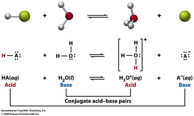 Acid dissociation and conjugate pairs diagram