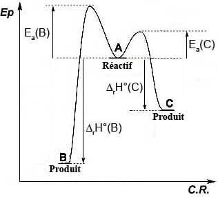 Energy diagram: kinetic and thermodynamic products