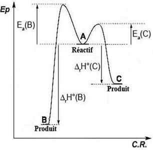 Energy diagram: kinetic and thermodynamic products