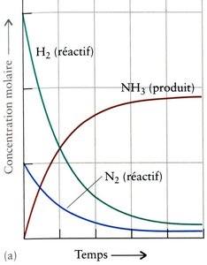 Concentration vs. time for ammonia synthesis