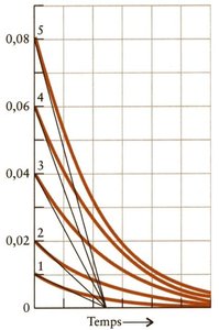 Concentration-time curves for different initial concentrations