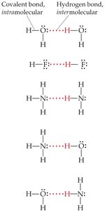 Ion-dipole interactions between water and ions