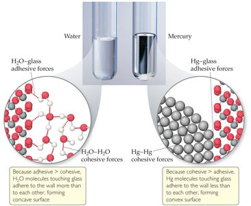 Energy diagram for phase changes