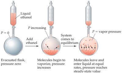Vapor pressure curves for several liquids