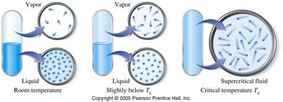 Phase diagram of water with critical and triple points