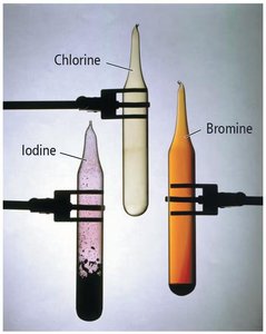 Test tubes containing chlorine, bromine, and iodine