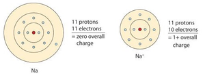 Diagram showing electron configuration of Na and Na+