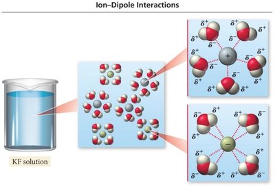 Ion-dipole interactions in solution