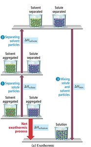 Energy diagram for exothermic solution formation