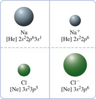 Relative sizes of Na, Na+, Cl, and Cl- ions
