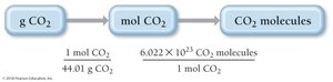 Conversion from grams to moles to molecules