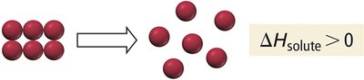 Separating solute particles