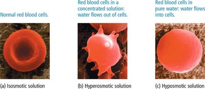 Osmotic pressure and applied pressure