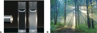 Light scattering in colloids