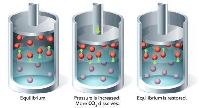 Gas solubility equilibrium and pressure