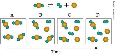 Molecular representation of equilibrium establishment over time