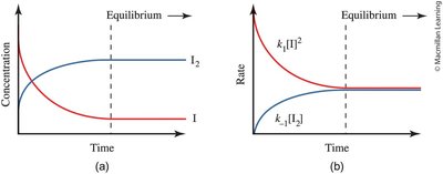 Graphs showing concentration and rate changes as equilibrium is reached
