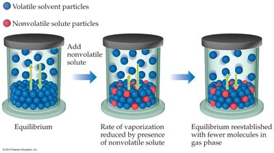 Vapor pressure lowering by nonvolatile solute